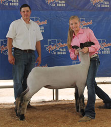 Shroyer Show Stock