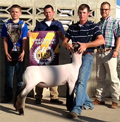 Shroyer ShowStock