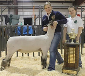 Shroyer Winner