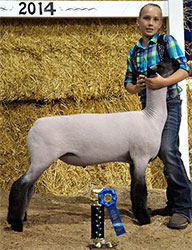 Shroyer ShowStock