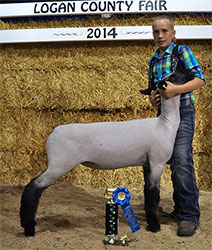Shroyer ShowStock
