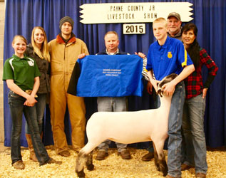 Shroyer Show Stock