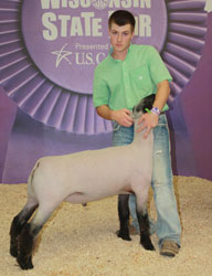 Shroyer Show Stock