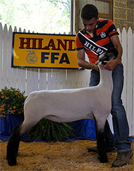 Shroyer ShowStock
