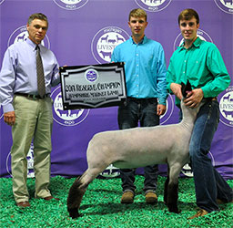 Shroyer ShowStock