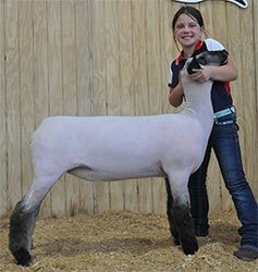 Shroyer ShowStock