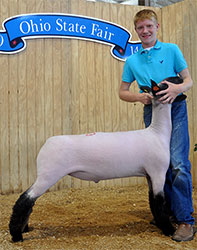 Shroyer ShowStock