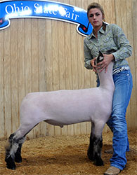 Shroyer ShowStock