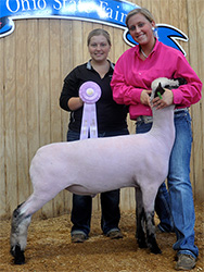 Shroyer ShowStock