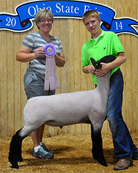 Shroyer ShowStock