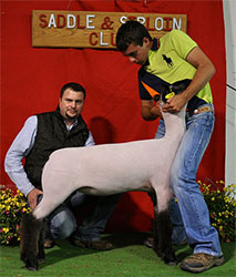 Shroyer ShowStock