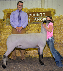 Shroyer ShowStock