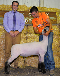 Shroyer Show Stock