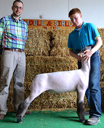 Shroyer Show Stock