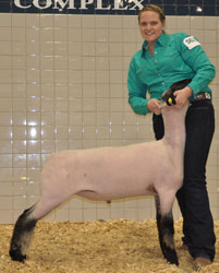 Shroyer Winner