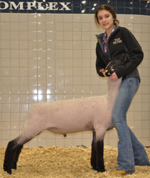 Shroyer Winner
