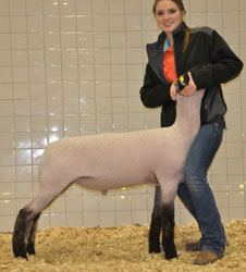 Shroyer Winner