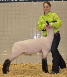 Shroyer Winner