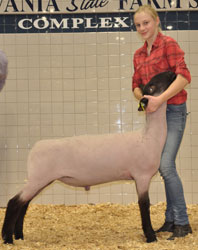 Shroyer Winner